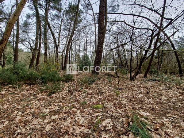 Achat terrain Péaule - 2073 m² - 18 000 €