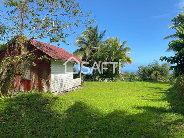 Terrain vue mer, arboré, Morne Savon