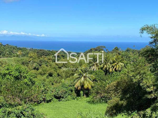 Terrain vue mer, arboré, Morne Savon