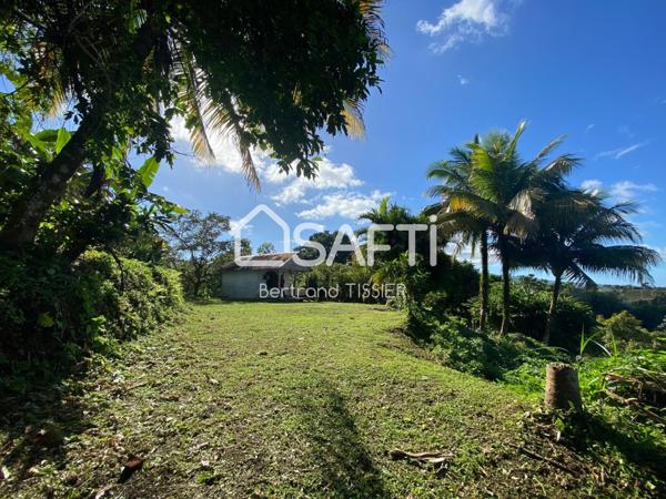 Terrain vue mer, arboré, Morne Savon