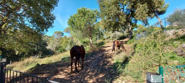 Au calme absolu, La Gaude terrain constructible 1455m2, divisible, triple expo, toutes commodités, emprise 15%