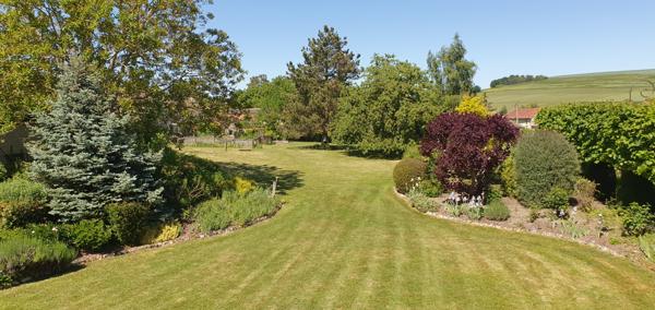 Crugny (51170) GRANDE MAISON AVEC GITE ET BEAU TERRAIN