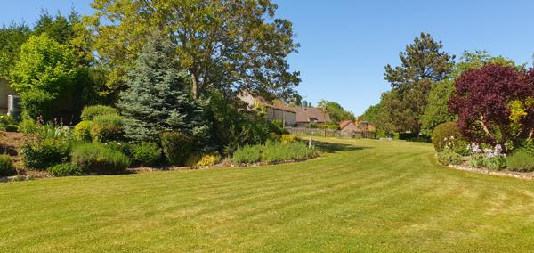 Crugny (51170) GRANDE MAISON AVEC GITE ET BEAU TERRAIN