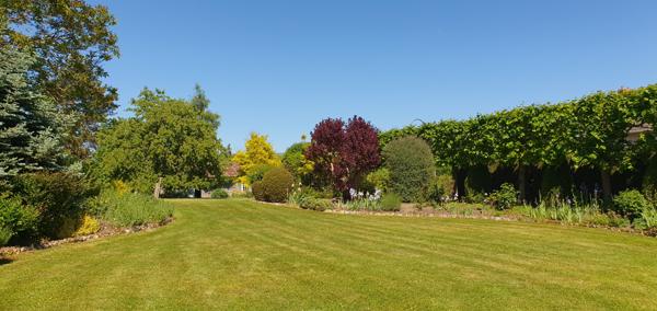 Crugny (51170) GRANDE MAISON AVEC GITE ET BEAU TERRAIN