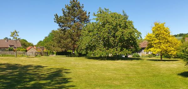 Crugny (51170) GRANDE MAISON AVEC GITE ET BEAU TERRAIN