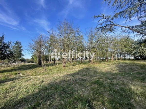 Maison 9 pièces - 388 m²