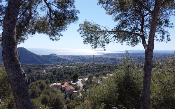 Maison à vendre    7 pièces •  Cantaron