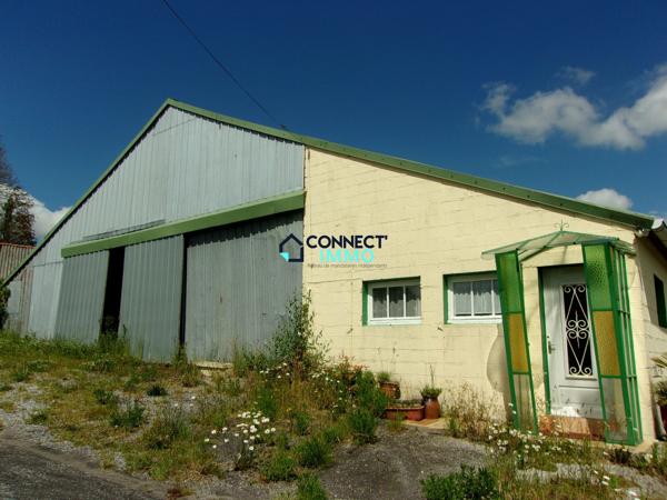 Maison avec terrain et grand hangar