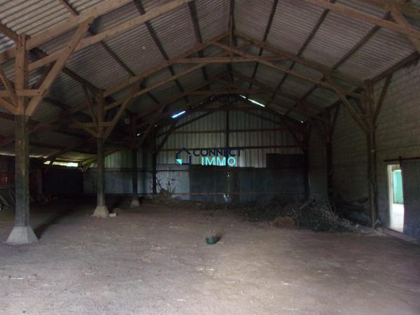 Maison avec terrain et grand hangar