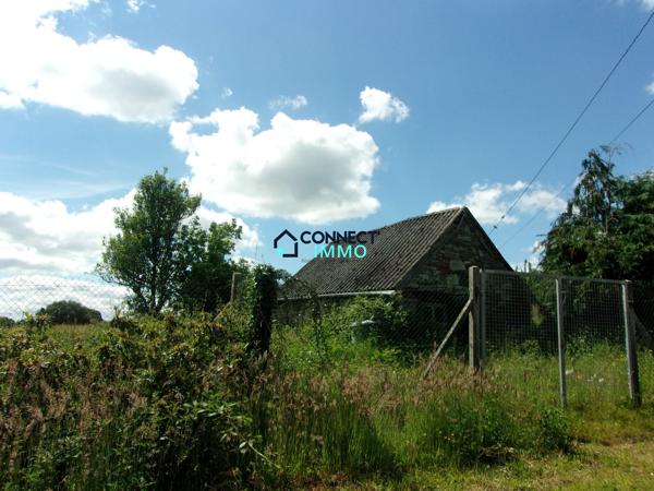 Maison avec terrain et grand hangar