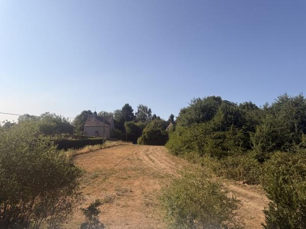 Maison à vendre 49 990 € Lourdoueix-Saint-Pierre 6 p 173 m² DPE