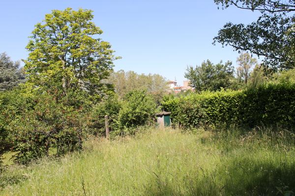 Grande maison à deux pas du centre !