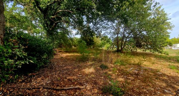 Terrain
        
        - 862 m² Exclusivité 249 000 € *