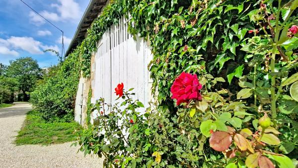 Charme et authenticité à VOUNEUIL SOUS BIARD : magnifique maison en pierre de 1800 avec 6 372 m² de terrain