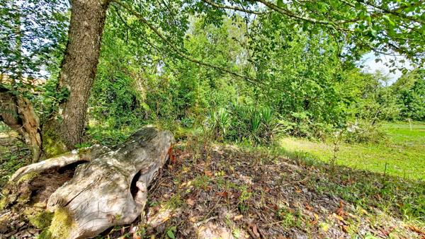 Charme et authenticité à VOUNEUIL SOUS BIARD : magnifique maison en pierre de 1800 avec 6 372 m² de terrain