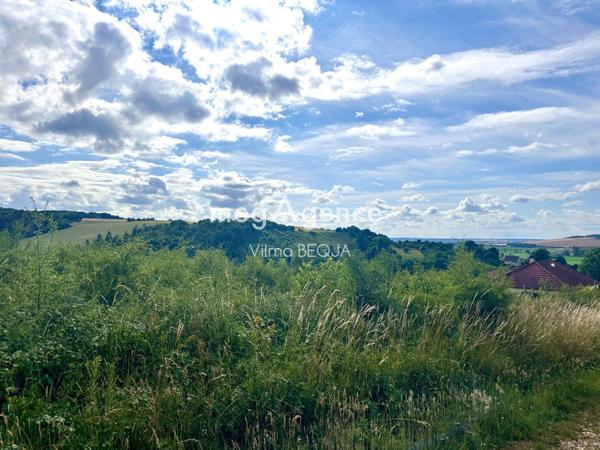 Terrain à NOE, 89320 - 1666m²