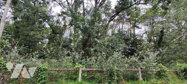 Rare sur le marché ! Terrain constructible de 1296m² secteur Triangle d'Or, proche du Casino