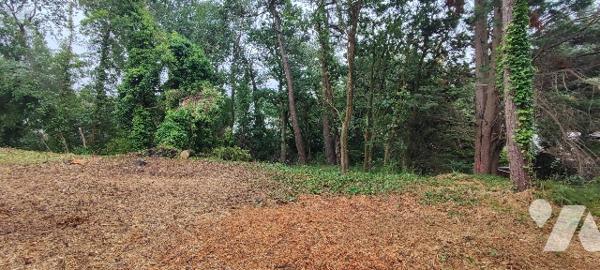 Rare sur le marché ! Terrain constructible de 1296m² secteur Triangle d'Or, proche du Casino