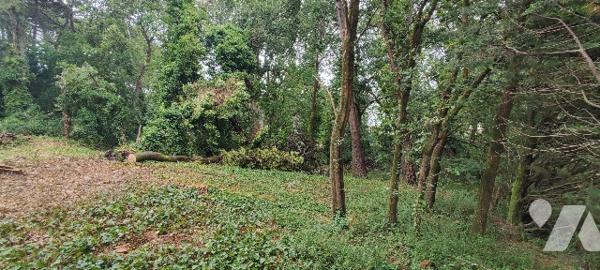 Rare sur le marché ! Terrain constructible de 1296m² secteur Triangle d'Or, proche du Casino