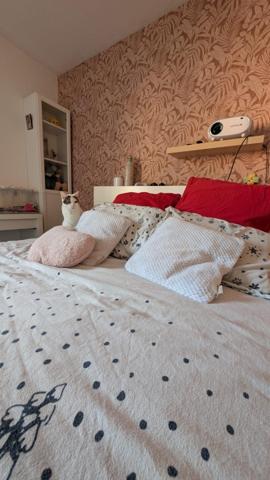 Duplex rénové en centre ville