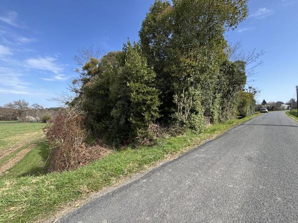 Vente / Maison à rénover