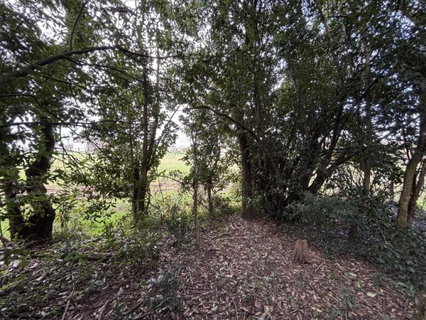 Vente / Maison à rénover