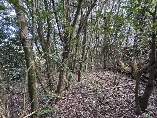 Vente / Maison à rénover