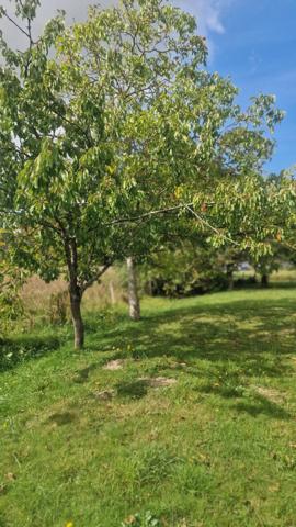 Vente Maison115 m² - 6 Pièces - VERN SUR SEICHE (35770)