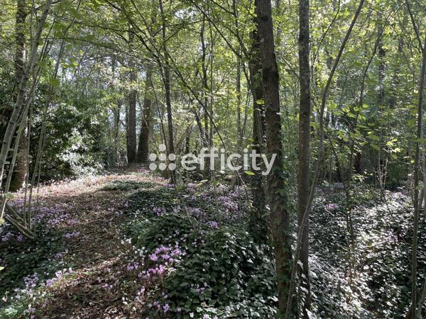 Maison 3 pièces - 94 m²