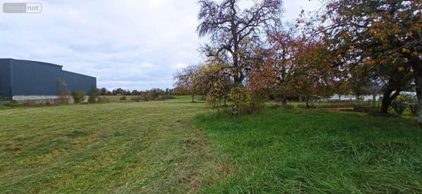 Pavillon à vendre à Fayl-Billot en Haute-Marne (52500), ref : 52020-52