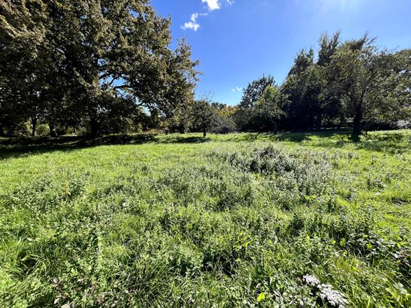 SAINT AMADOU : TERRAIN CONSTRUCTIBLE DE 2027 M2 ARBORE A LA CAMPAGNE