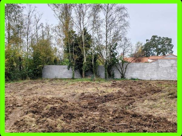 Vente / Terrain constructible