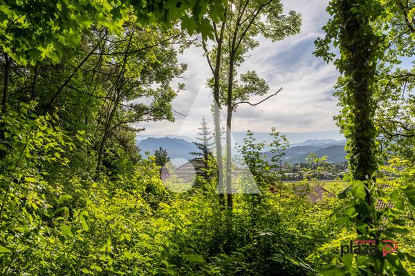 Terrain 3022 m2