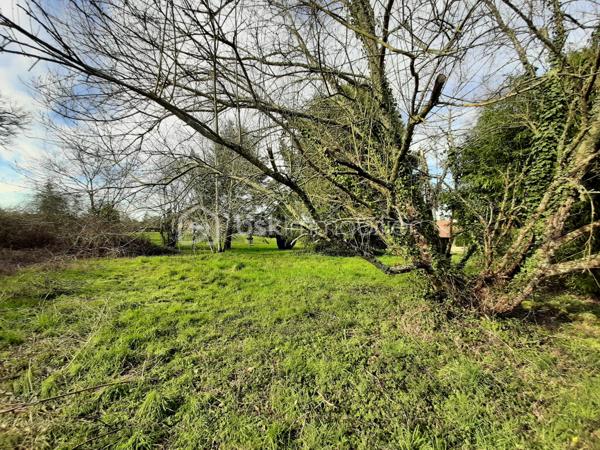 Maison en pierre de 120 m²