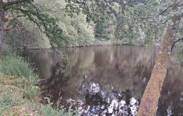 Vente Terrain Non-constructible Rilhac-lastours   