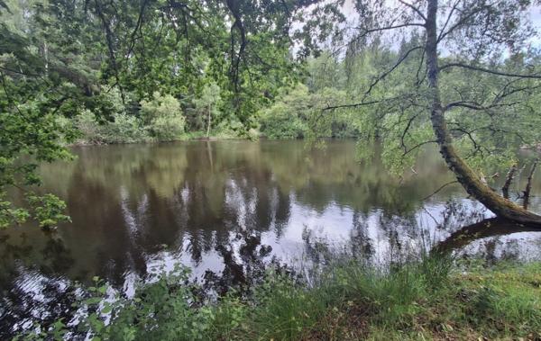 Vente Terrain Non-constructible Rilhac-lastours   
