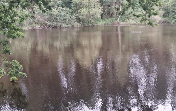 Vente Terrain Non-constructible Rilhac-lastours   