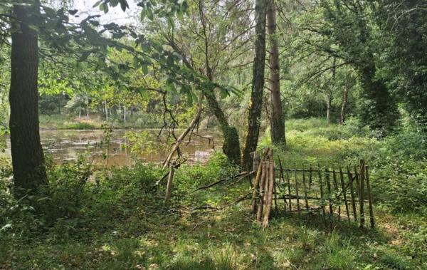 Vente Terrain Non-constructible Rilhac-lastours   