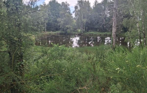Vente Terrain Non-constructible Rilhac-lastours   