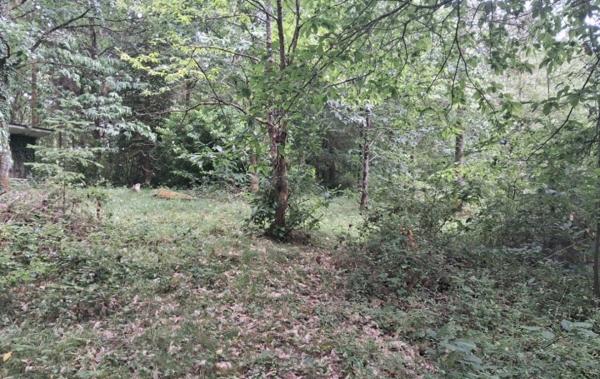 Vente Terrain Non-constructible Rilhac-lastours   