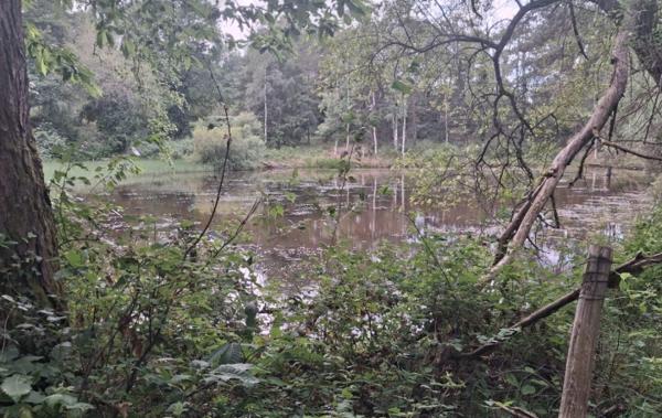 Vente Terrain Non-constructible Rilhac-lastours   