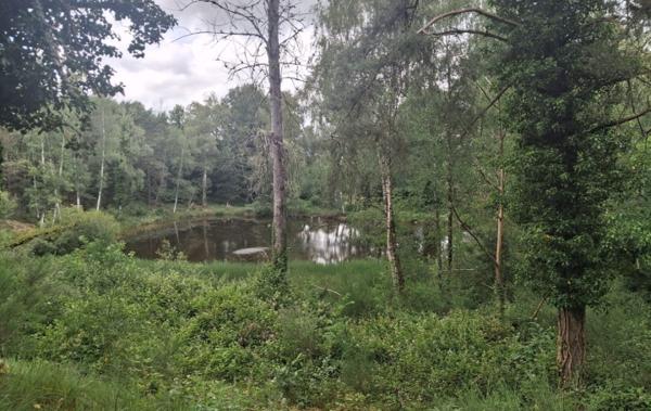 Vente Terrain Non-constructible Rilhac-lastours   