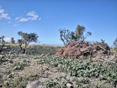 Terrain de 250 m2 proche pierrefonds