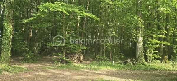 Maison de 50 m²