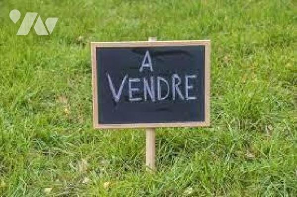 Bonneuil Matours, terrain à lotir de 11 983 m². Permis d'aménager pour 12 lots déjà obtenu mais...