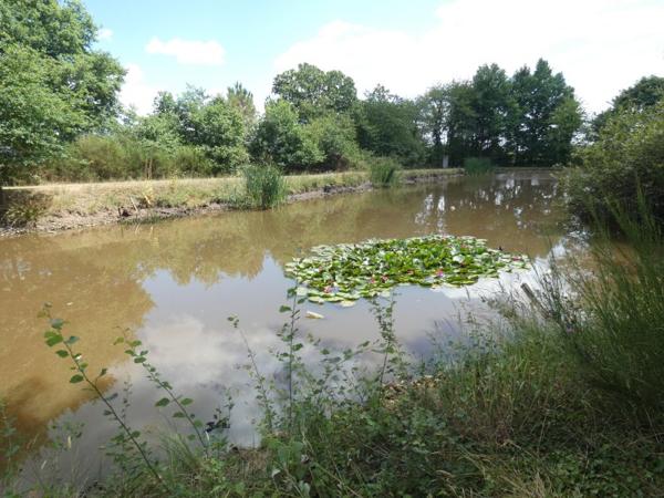 Vente / Terrain de loisirs