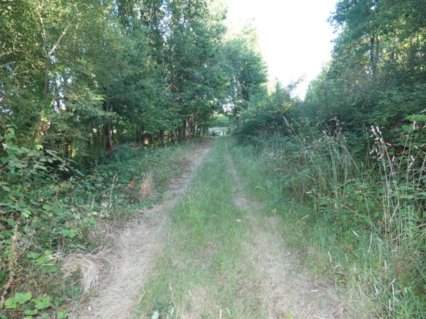 Vente / Terrain de loisirs