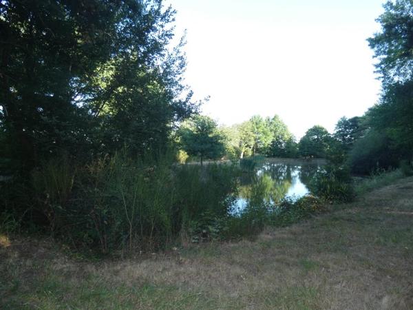 Vente / Terrain de loisirs