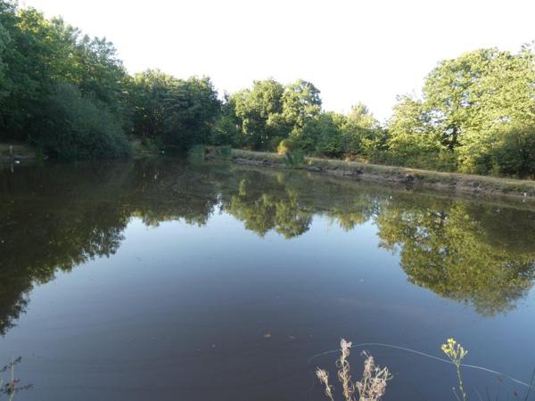 Vente / Terrain de loisirs