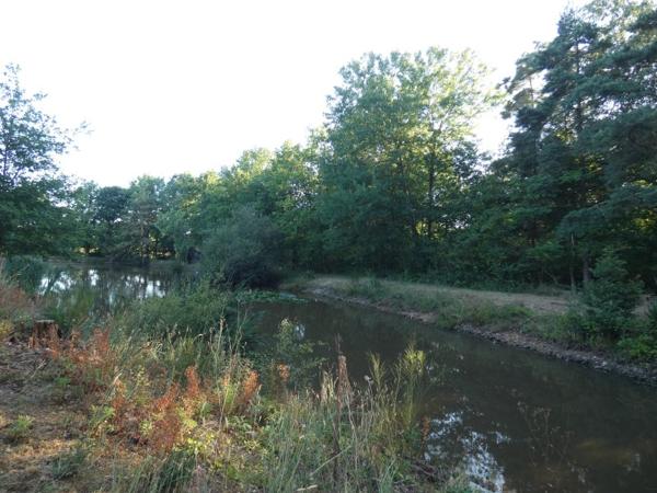 Vente / Terrain de loisirs